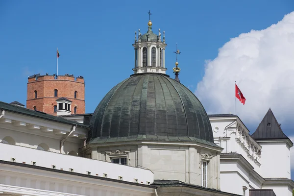 Vista a la cúpula de la Catedral con la torre de Gediminas al fondo en Vilna, Lituania . —  Fotos de Stock