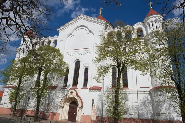 Na zewnątrz katedry Najświętszej Maryi Panny w Wilnie, Litwa. — Zdjęcie stockowe