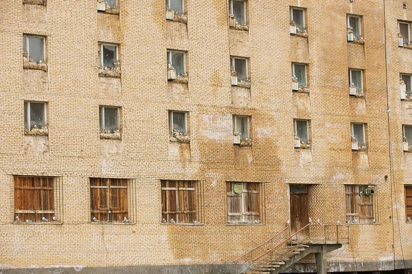 鸟儿坐在巢在 windows 的大厦在被遗弃的俄罗斯北极解决 Pyramiden，挪威. — 图库照片