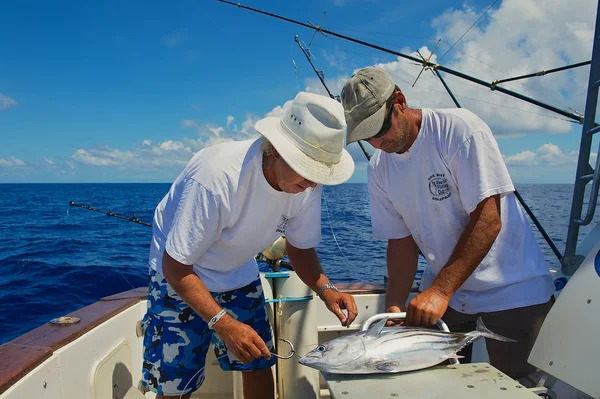 People fix tuna as a bait for marlin fishing, Reunion. — Stock Photo, Image