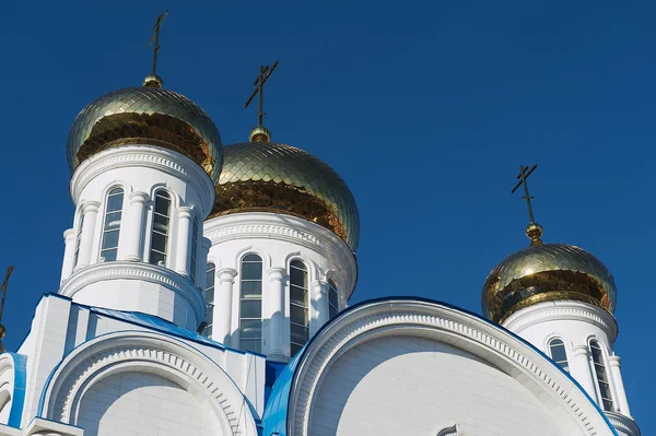 Cupolas of the cathedral of Astana city, Astana, Kazakhstan. — ストック写真