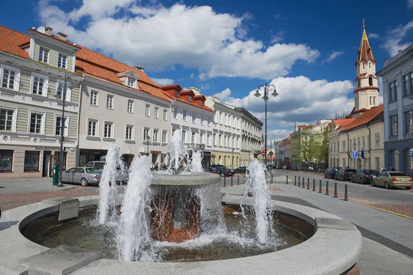 Visa att de historiska byggnaderna och fontänen på den centrala delen av staden Vilnius, Litauen. — Stockfoto