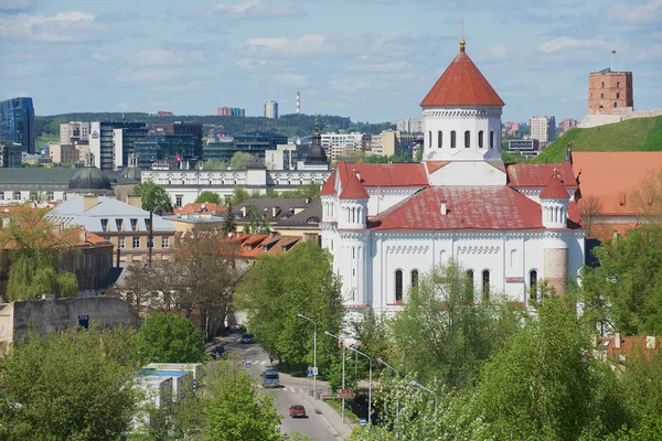 Δες στον καθεδρικό ναό της Θεοτόκου με πύργο Gediminas και λόφο στο παρασκήνιο στο Βίλνιους της Λιθουανίας. — Φωτογραφία Αρχείου