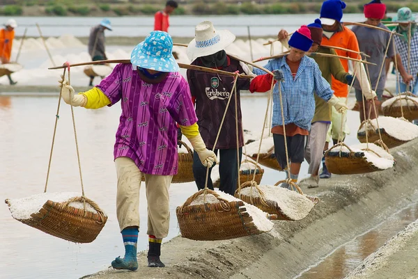 人们携带盐盐农场在华欣，泰国. 免版税图库图片