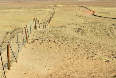 Dingoe çit içinde Avustralya Outback.