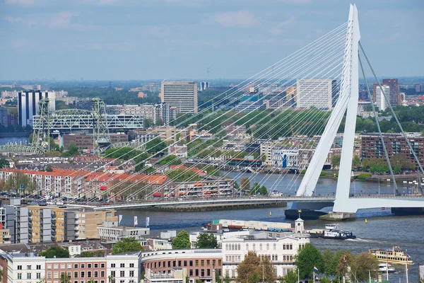 Letecký pohled na most Erasmus a město Rotterdam, Nizozemsko. — Stock fotografie