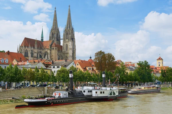 Regensburg Katedrali ve tarihi binalar ile Tuna Nehri, Regensburg, Almanya ön planda görüntülemek. Telifsiz Stok Fotoğraflar