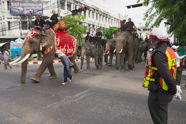 Människor deltar i den berömda elefant paraden i Surin, Thailand. — Stockfoto