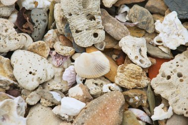 Kabuk ve Sam ROI Yot Milli Parkı, Tayland, Thailand, deniz sahilinde küçük taşlar.