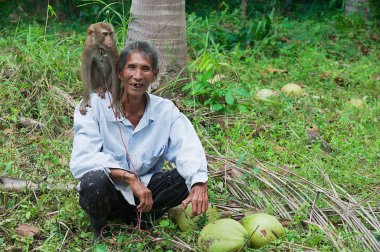 Portrait of unidentified farmer with monkey the coconut plantation at Kog Samui, Thailand.