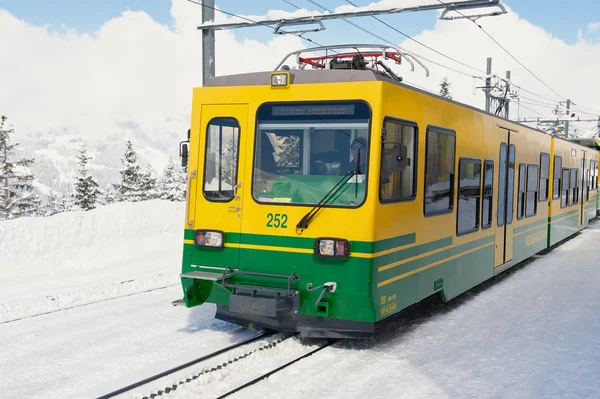 Поезд прибывает на станцию в Гриндельвальд, Швейцария . — стоковое фото