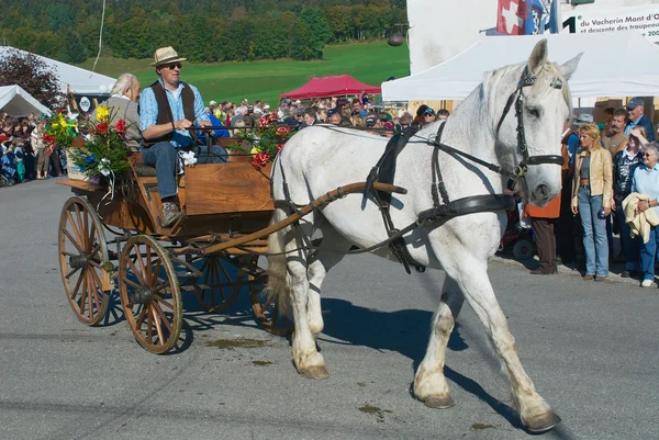 People ride traditional horse carriage at the annual Cheese Festival in Affoltern Im Emmental, Switzerland. — Stock Photo, Image