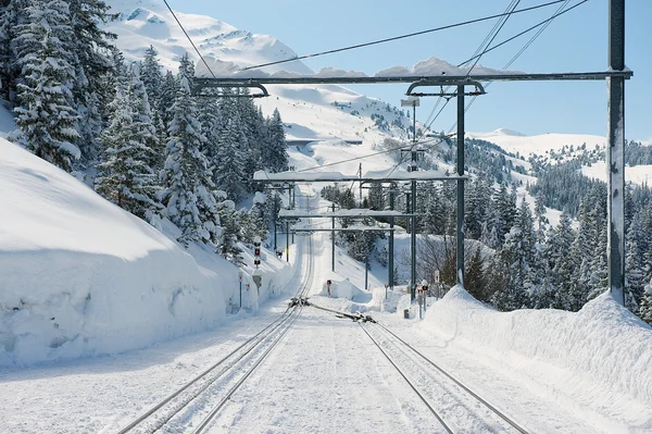 View to the Wengernalpbahn railway tracks in Grindelwald, Switzerland. — 图库照片