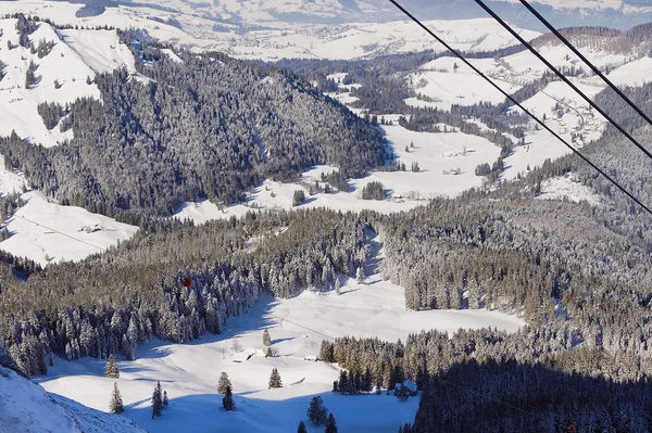 Visa i skogen på sluttningen av berget Pilatus från linbanan gondolen i Lucern, Switzerland. — Stockfoto