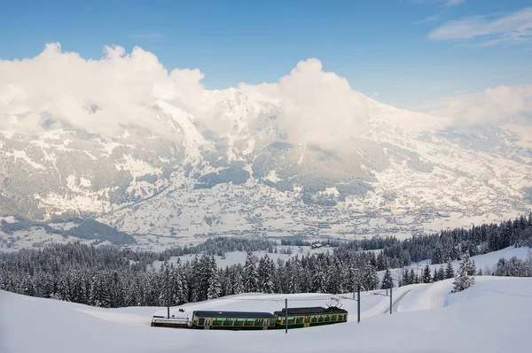 查看对 Wengernalpbahn 铁路列车由格林德沃，瑞士的山谷. — 图库照片