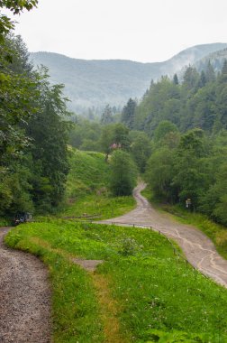 Yağmurlu bir günde dağlarında ormanda yol