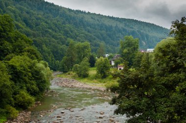 Nehir yeşil ağaçlar ile dağlarda