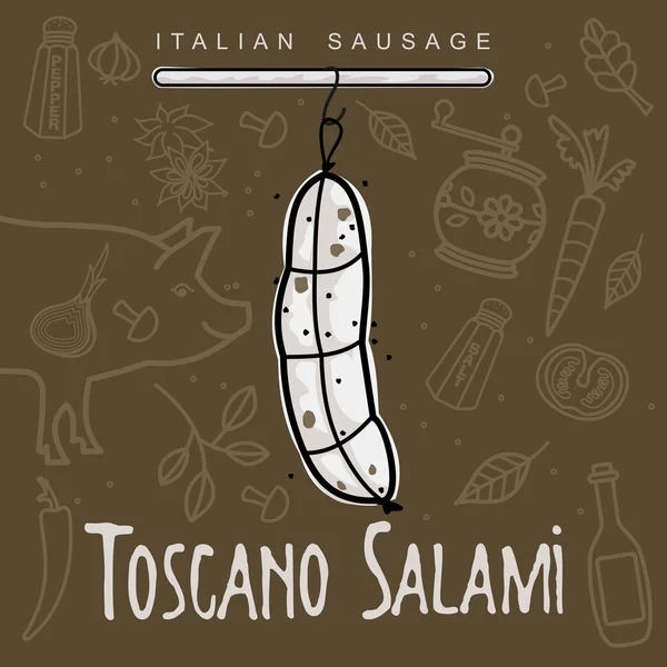 Saucisse italienne — Image vectorielle