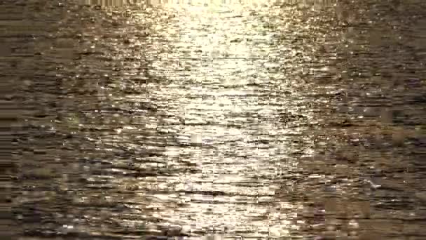 Réflexion de l'eau dans le lac hors foyer au ralenti. Texture dorée . — Video