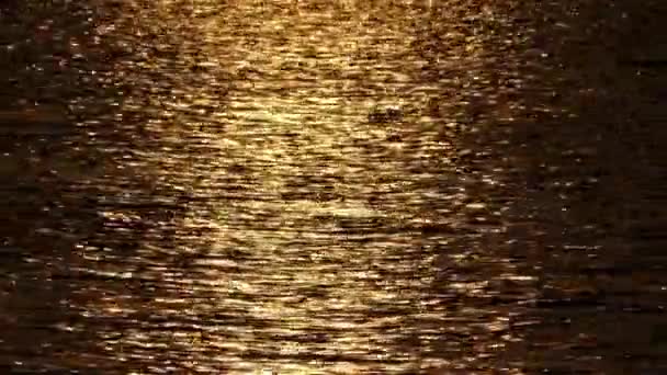 Belle eau dorée au coucher du soleil . — Video