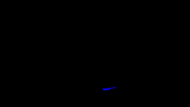 Movimiento caótico de luces azules sobre fondo negro . — Vídeo de stock