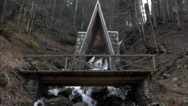 Wasserfall im Wald der Karpaten. — Stockvideo
