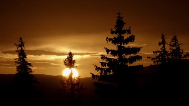 Coucher de soleil incroyable dans la forêt de montagne. Délai imparti . — Video