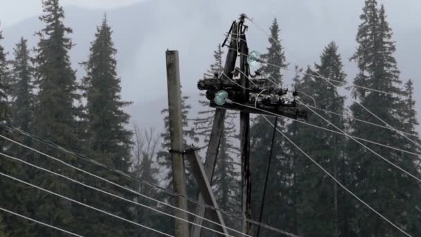 Ηλεκτρικής ενέργειας πόλο στο δάσος στη βροχή. — Αρχείο Βίντεο