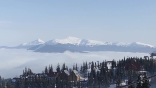 Luftaufnahmen. der Berggipfel über den Wolken und die Bäume oben. — Stockvideo