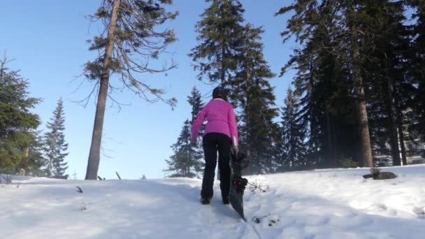 ピンクのジャケットの女の子が森の中でスノーボードと行く. — ストック動画