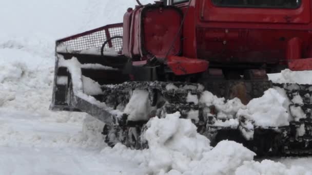 Червоний гусеничний трактор прибирає сніг з дороги . — стокове відео