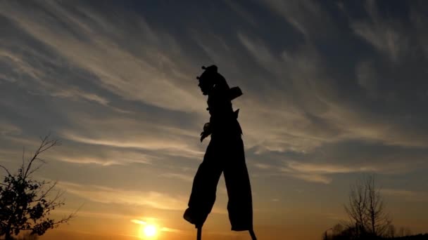 Stilt Walker a dançar ao pôr-do-sol. Espantoso espectáculo. Ação em câmera lenta . — Vídeo de Stock