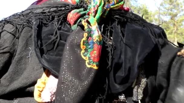 Maschera facciale di costume Baba Yaga. Azione nella foresta . — Video Stock