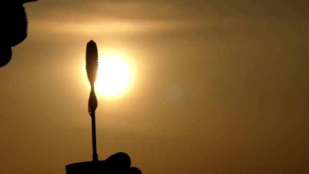 Man Blow bubbels op zonsondergang Slow-Motion. Close-up. — Stockvideo