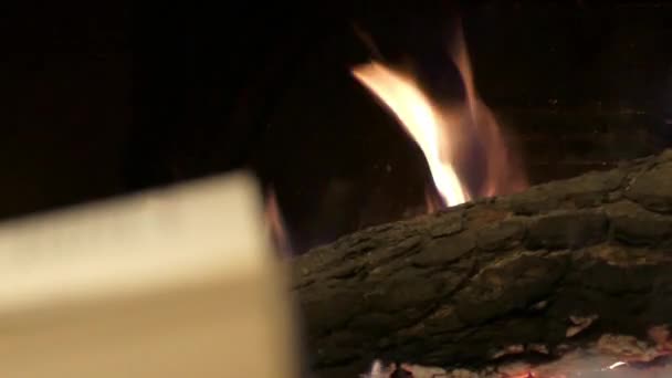 暖炉のクローズ アップの前に本を読んでください。. — ストック動画