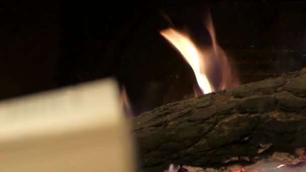 Leer un libro delante de una chimenea Primer plano . — Vídeo de stock