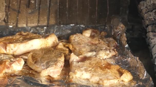 Deliciosa carne preparada en la parrilla. Primer plano . — Vídeos de Stock