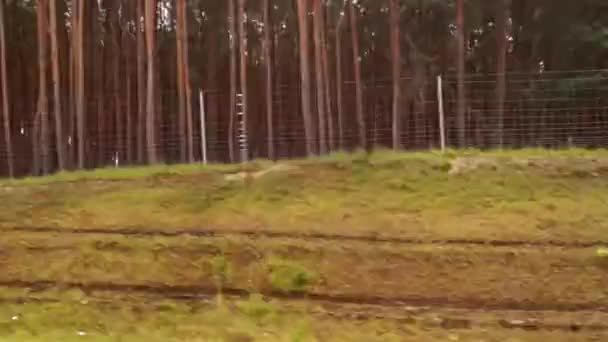 Die Szenerie aus dem Autofenster während der Fahrt. — Stockvideo