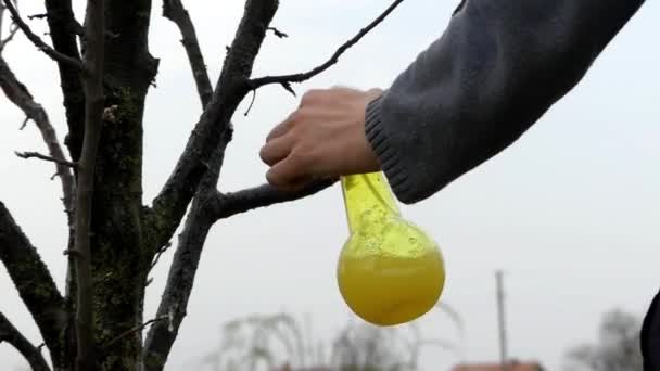 Strony używane żółty Spray dla drzew. — Wideo stockowe