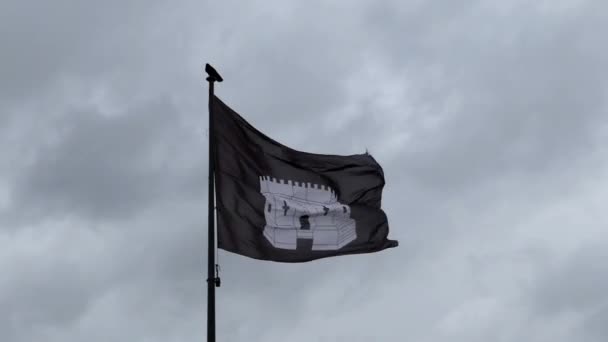 Un cuervo estaba sentado en la bandera y voló lejos . — Vídeo de stock