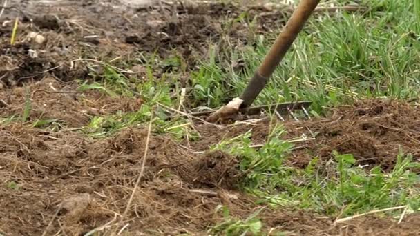 Rake Clear the Ground From Debris. Slow Motion. — Stock Video