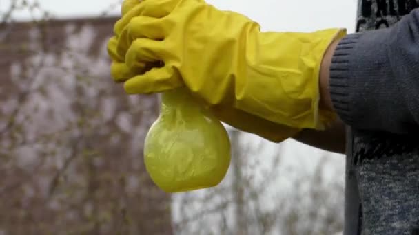 Spray giallo utilizzato a mano per alberi . — Video Stock