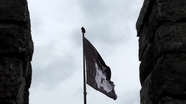 Schwarze Fahne mit Burg im Wind in Zeitlupe. — Stockvideo
