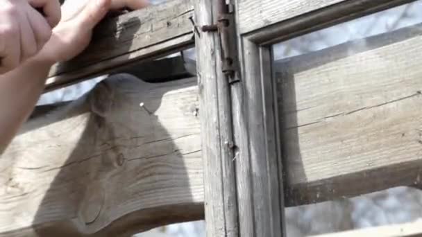 Hammaren tar bort naglar från trä. — Stockvideo