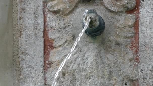 Малий фонтан в скульптурі голову змія. Дії в уповільненому Русі. — стокове відео