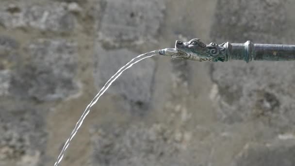 Ein kleiner Springbrunnen in der Skulptur des Schlangenkopfes. die Handlung in Zeitlupe. — Stockvideo