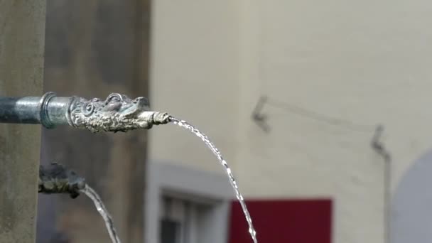 Ein kleiner Springbrunnen in der Skulptur des Schlangenkopfes. die Handlung in Zeitlupe. — Stockvideo