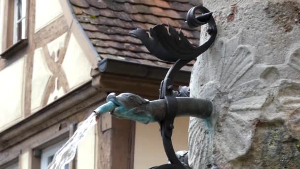 Una piccola fontana nella scultura della testa del serpente. l'azione al rallentatore . — Video Stock