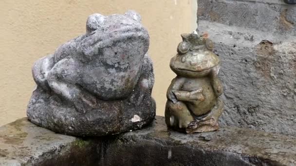 Fountain in the Shape of a Fish. Moción lenta . — Vídeos de Stock