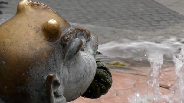 Fontein in de vorm van het hoofd van de duivel. Slow Motion. — Stockvideo